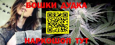 дмт Владимир