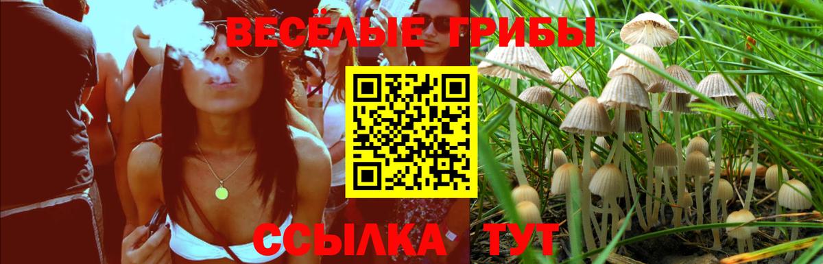 Псилоцибиновые грибы ЛСД Белогорск