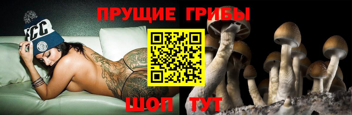 Псилоцибиновые грибы GOLDEN TEACHER  Вход с VPN  Белогорск 